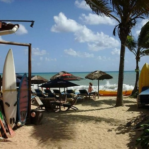 Stream Bicho R M | Listen to beach songs playlist online for free on ...