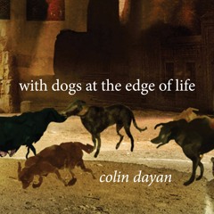 Colin Dayan at Whitechapel Gallery, 3/3, with Gareth Evans