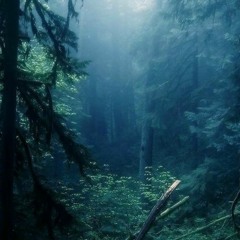 Ludovico Einaudi - Night (Electric Redux  - Axiz & AlexHouseMusique)