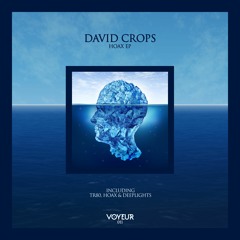David Crops - Deeplights (Snippet)