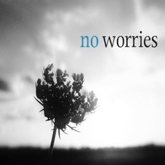 No Worries