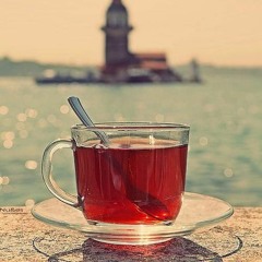 شوية طرب علي خفيف - حبة سلطنة الدماغ طلبت كده  ☕️