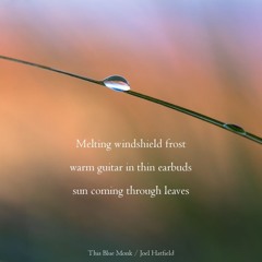 Metal Boxes on Wheels-"Naviarhaiku116 - melting windshield frost"