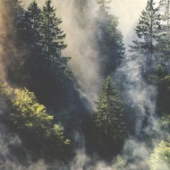 mountain haze.