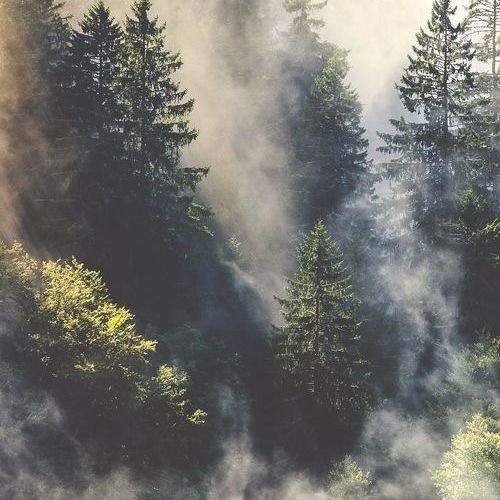 mountain haze.