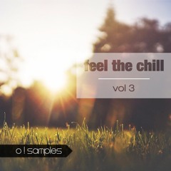 Feel The Chill Vol 3