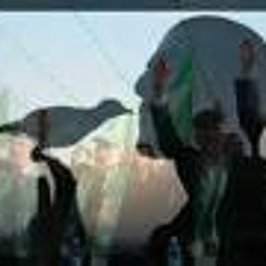 حجارة القدس نيران - وجاهدوا - أبو عابد