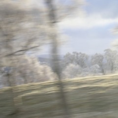 hidden by the dunes
