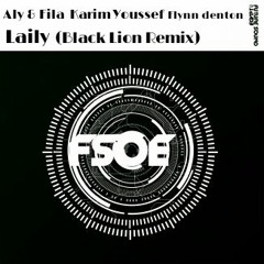 Aly & Fila ft.Karim Youssef - Flynn denton - Laily (mashup Dj Black Lion)