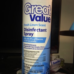 Disinfectant Spray (Freestyle)