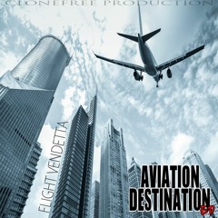 Aviation Destination