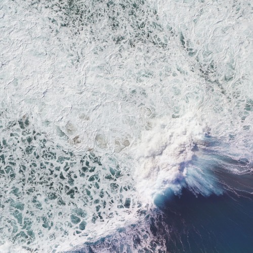 ｔｈｅ ｃｏｎｔｉｎｅｎｔａｌ ｓｈｅｌｆ