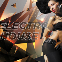 Electro House 10