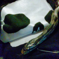 OrbAsM - Deep Dark Smoke (DnB Mix)