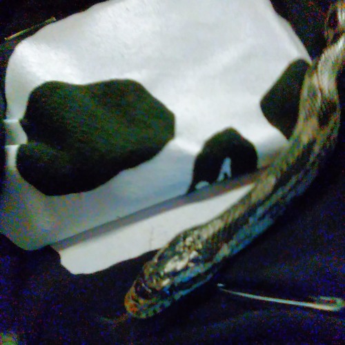 OrbAsM - Deep Dark Smoke (DnB Mix)