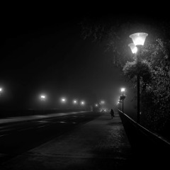 The Dark