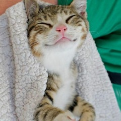 El Formato Marihuanobeats