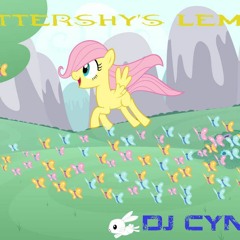 DJ CYNDER - Fluttershy's MVM Lement