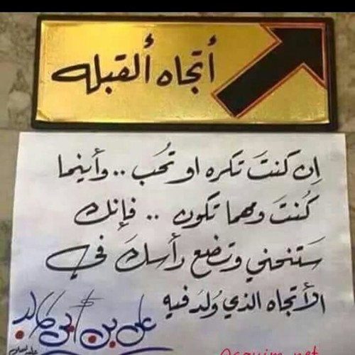 أمير النحل - مصطفى الربيعي