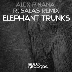 Alex Pinana - Elephant Trunks (R. Salas Remix) PREVIEW