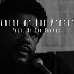 Voice Of The People (prod. by Dre Knowss)