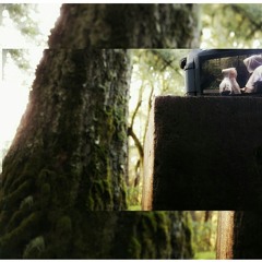 Voice 362 all good.m4a