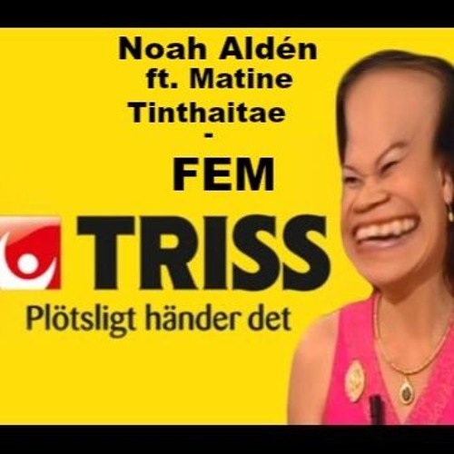 FEM
