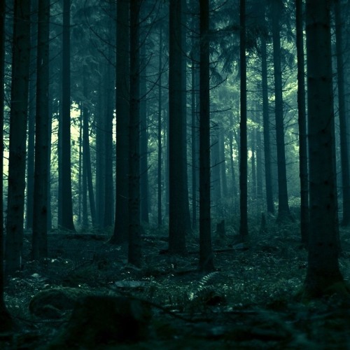 iiO - Rapture  (Adam Byrd & Nouri Version)
