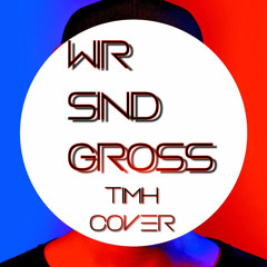 Mark Forster - Wir sind groß (TimH Cover)