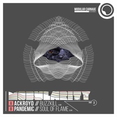 Buzzkill [MCR023]