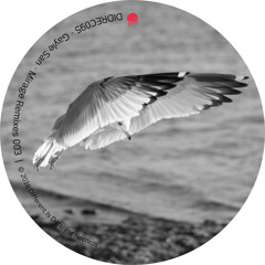 Gayle San - Mirage (Miss Electric & Greencross 'Bassline' Mix)