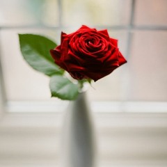 Mai tumse ishq karne ki Izzaza