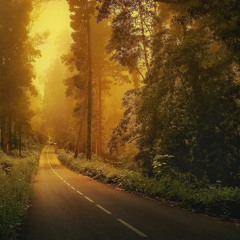 Wanderlust