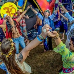 WIGS - Transcendentalism @ 2016 SET