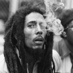 Bob Marley - I Wanna Love You (Avicii Remix)