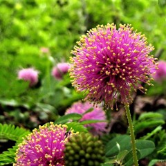 fresℎ. daily 03.26.2016