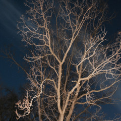 Memory/remix  Jeff Alexander and Richard Hawkins