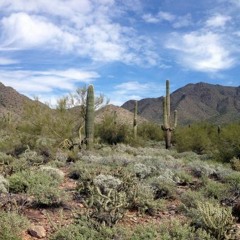 Autism Research Connections #2