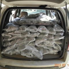 100 Weight Of Collie Weed Dub
