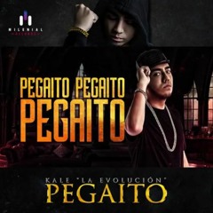 98 Kale - Pegaito (Fabio Venegas) *DESCARGA EN BUY*