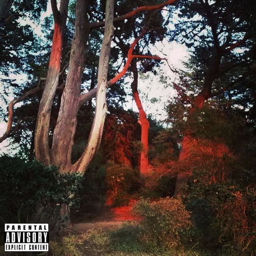 Hella Lit (CD Version)[Prod By Ollahi]