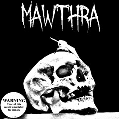 Mawthra - MAWTHRA - 09 Reduviidae Feat. Disjointed (Prod. Large Professor)
