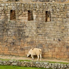 Sur America (Sideral Remix)