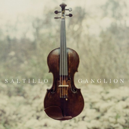 Saltillo - Remember Me