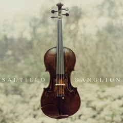 Saltillo - The Opening