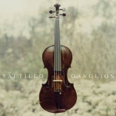 Saltillo - Blood And Milk