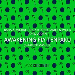 BAHA & Michael Brun X Corey James & Will K X Joris Voorn - Awakening Fly Tenpaku (B-Rather MashUp)