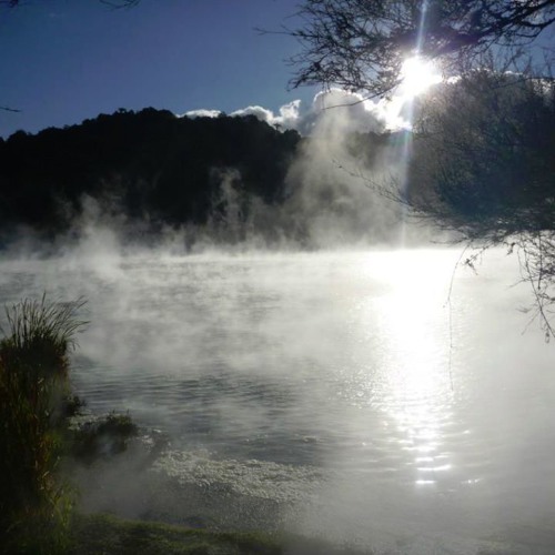 Neutrin05 - Clandestine Serenity