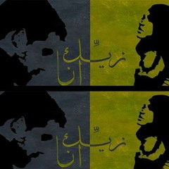 مسار إجبارى زيك أنا