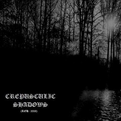 Crepusculic Shadows (Brasil) - Lost in my Obscure Dreams (Single 2009)